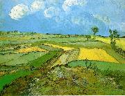 Vincent Van Gogh Wheat Fields at Auvers Under Clouded Sky oil painting reproduction